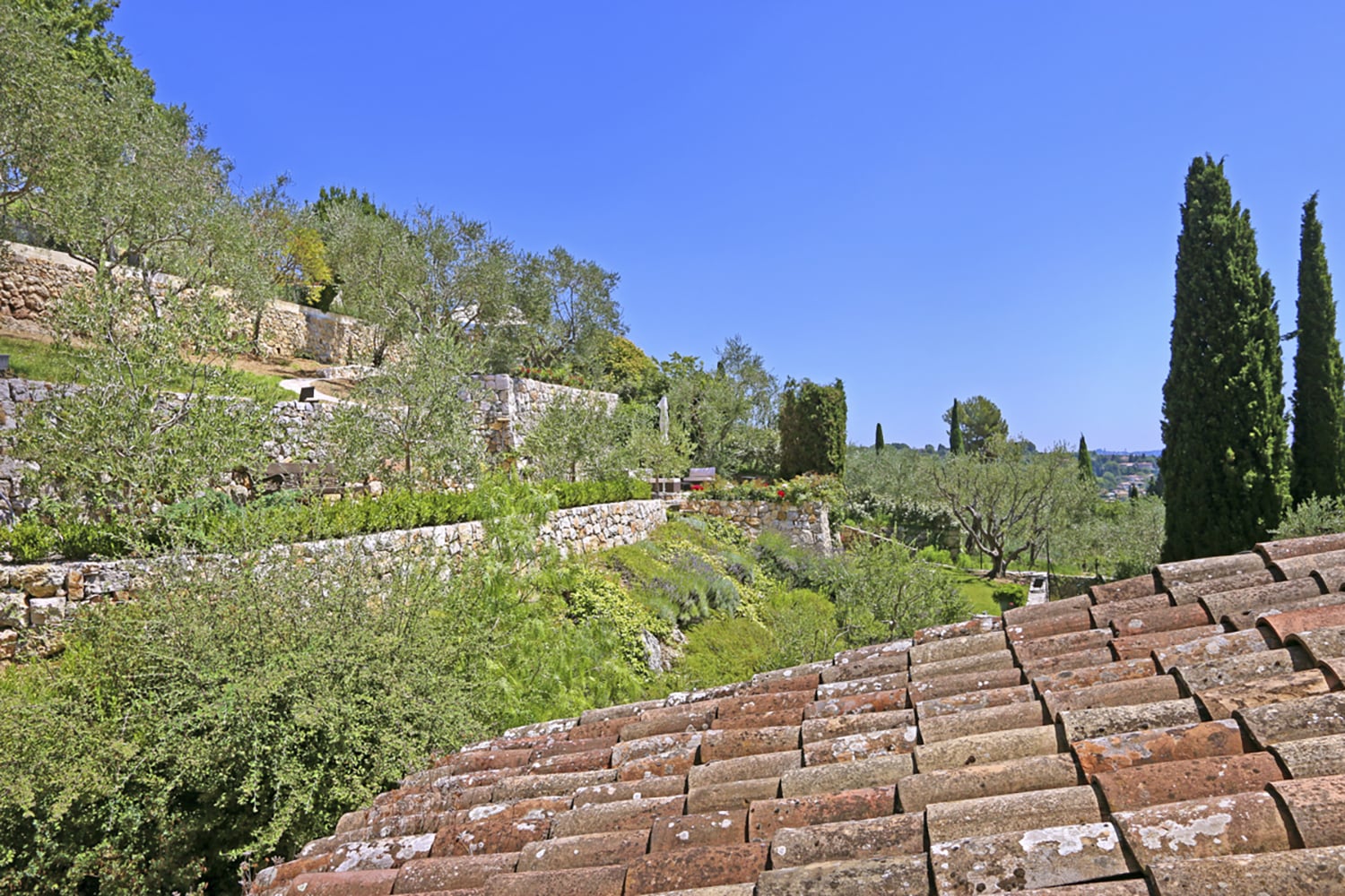 Jardin