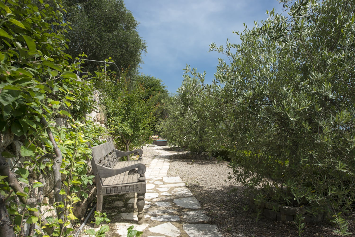 Jardin