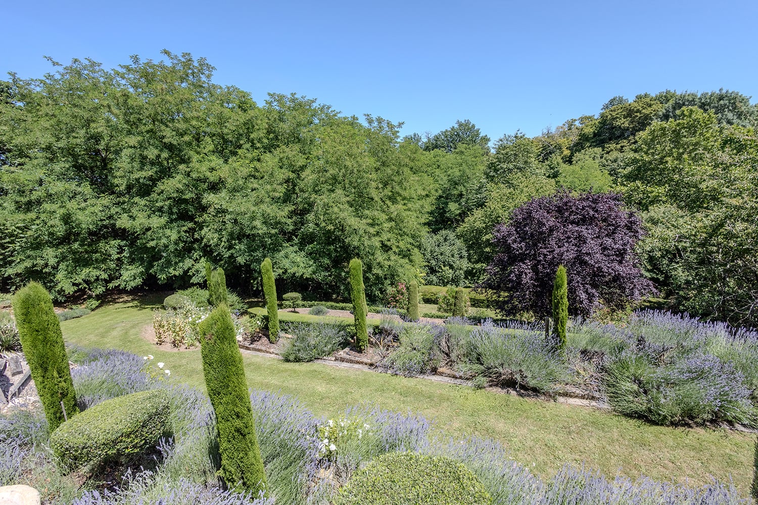 Jardin