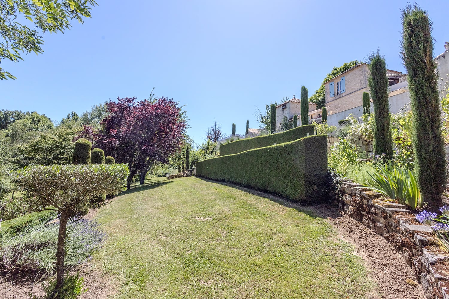 Jardin