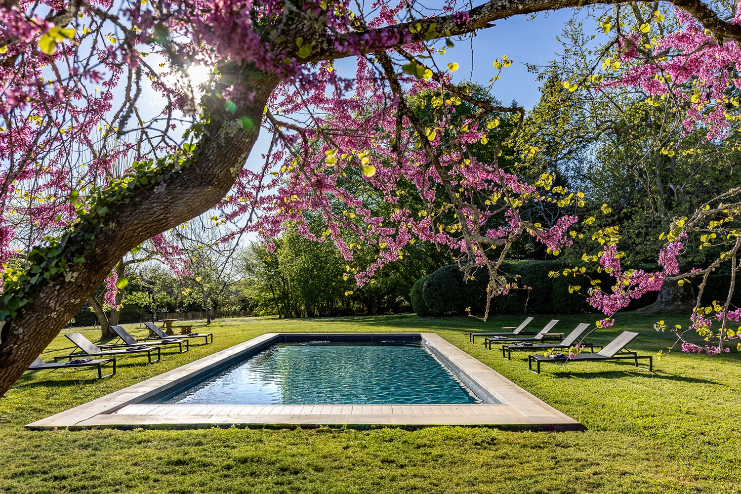 Piscine privée chauffée