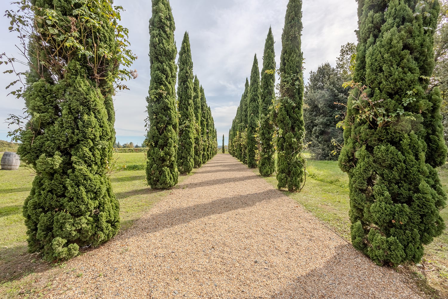 Jardin | Château de vacances à Centre-Val de Loire