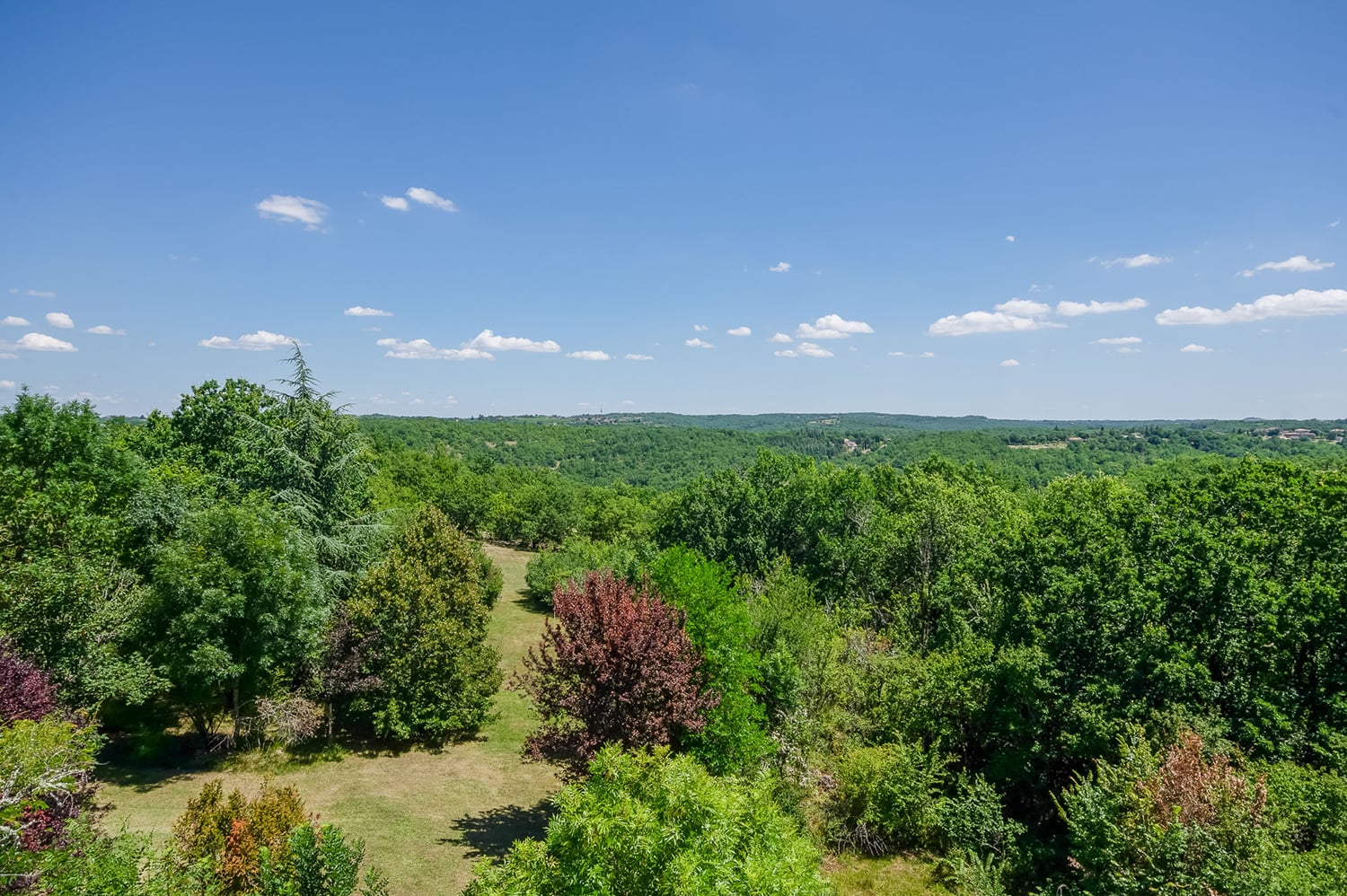 Vue sur le jardin