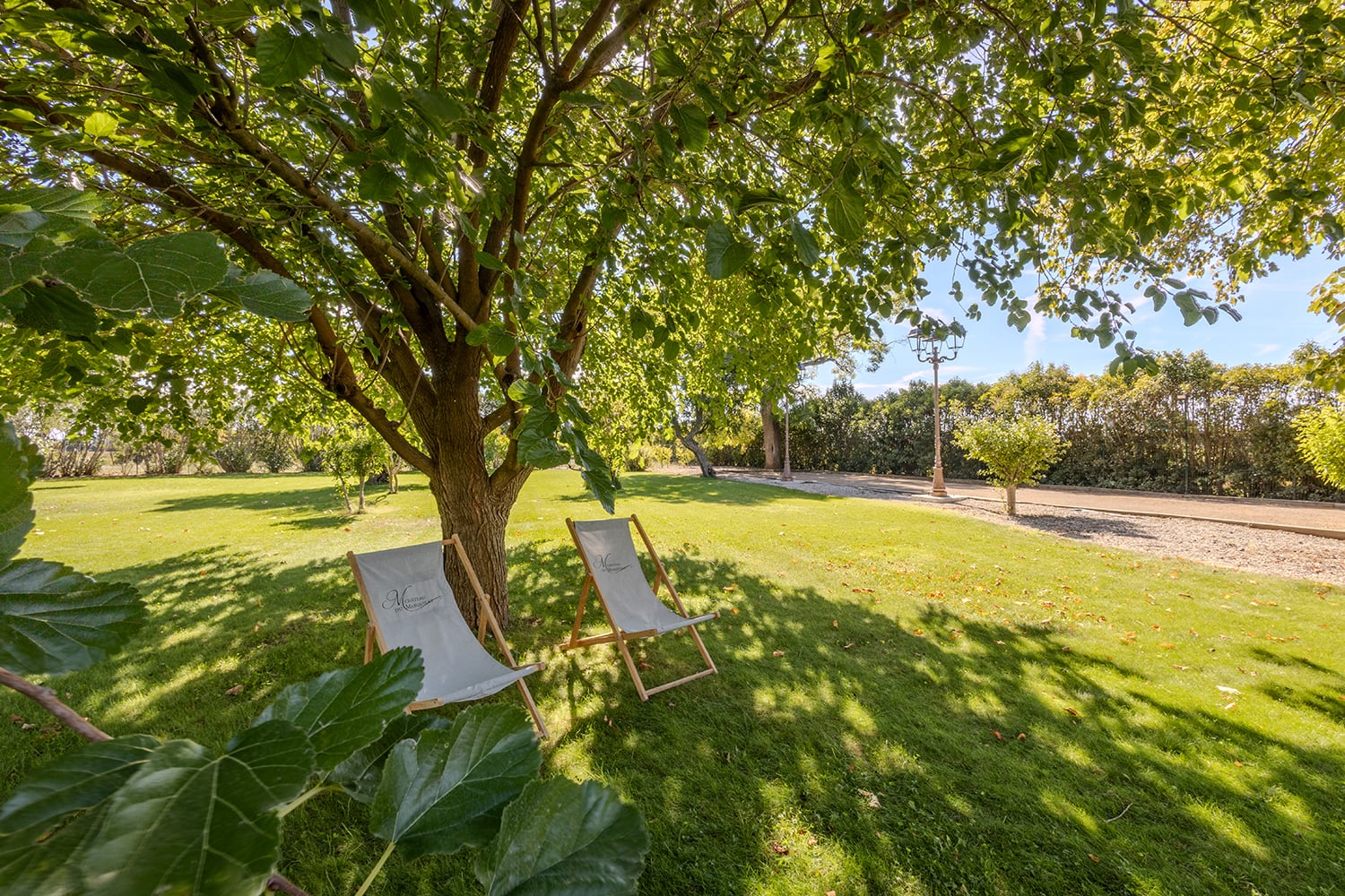 Jardin avec herbe