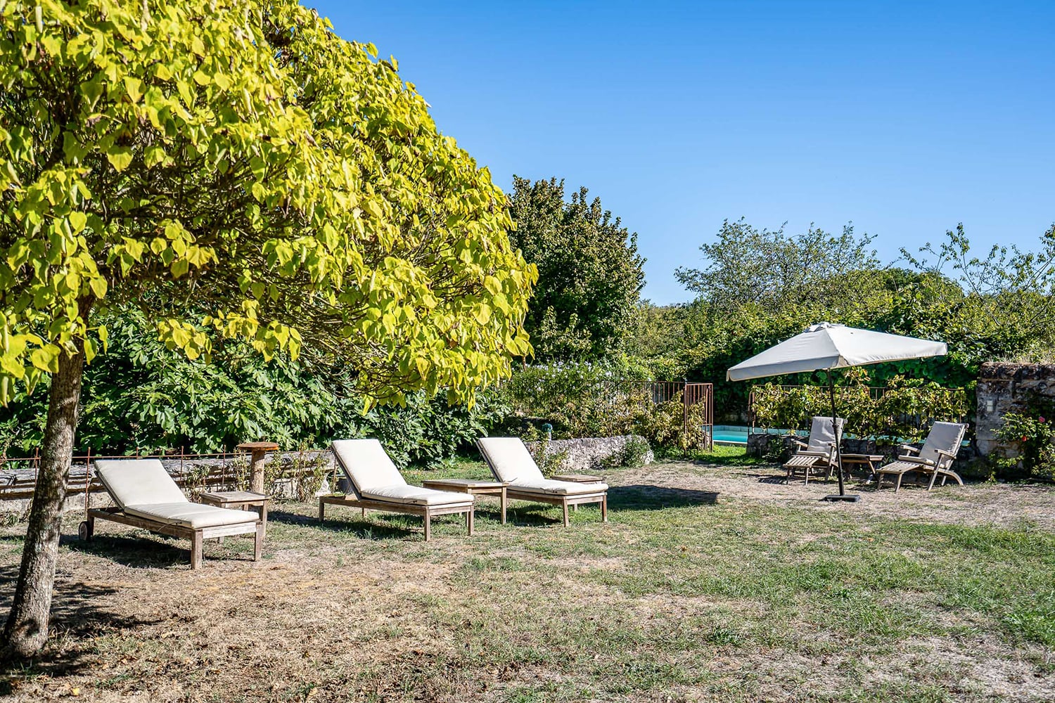 Jardin