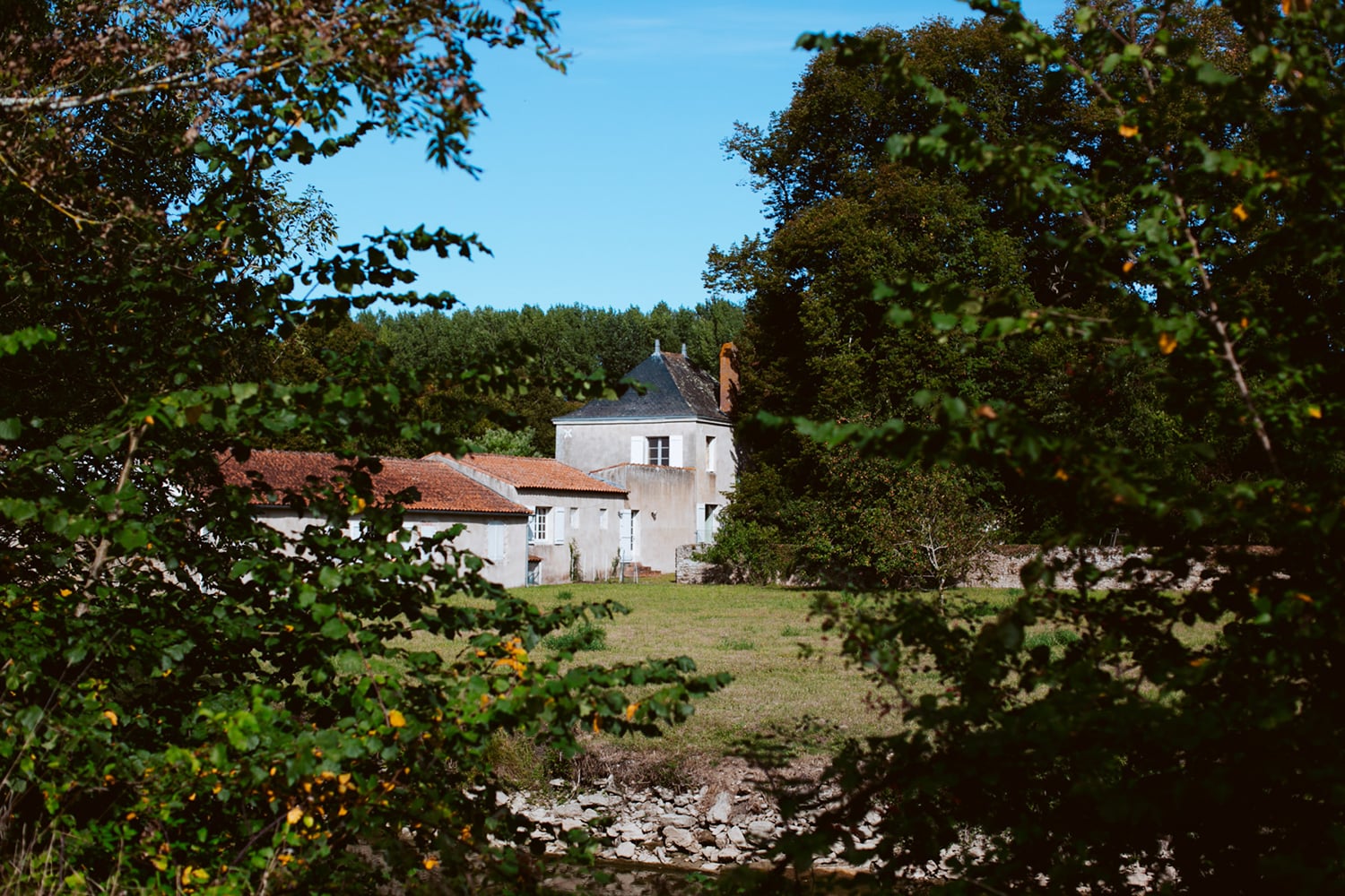 Jardin