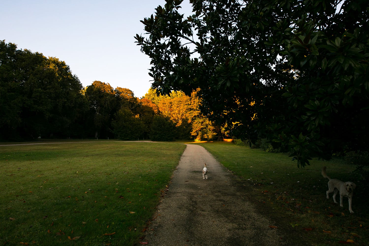 Jardin
