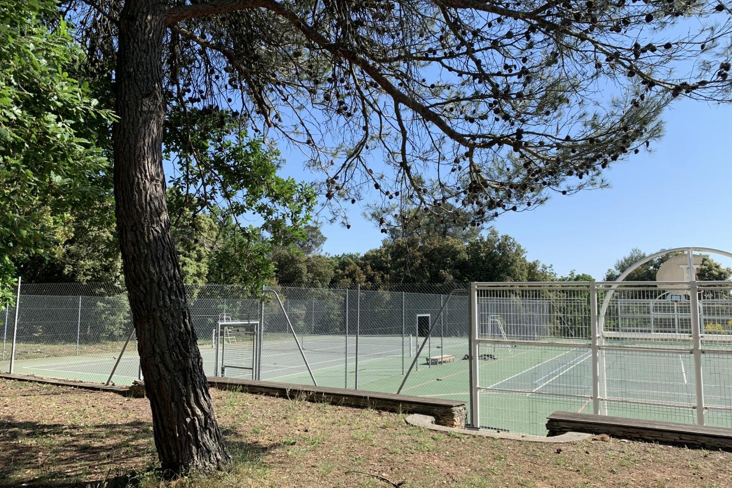 Courts de tennis locaux