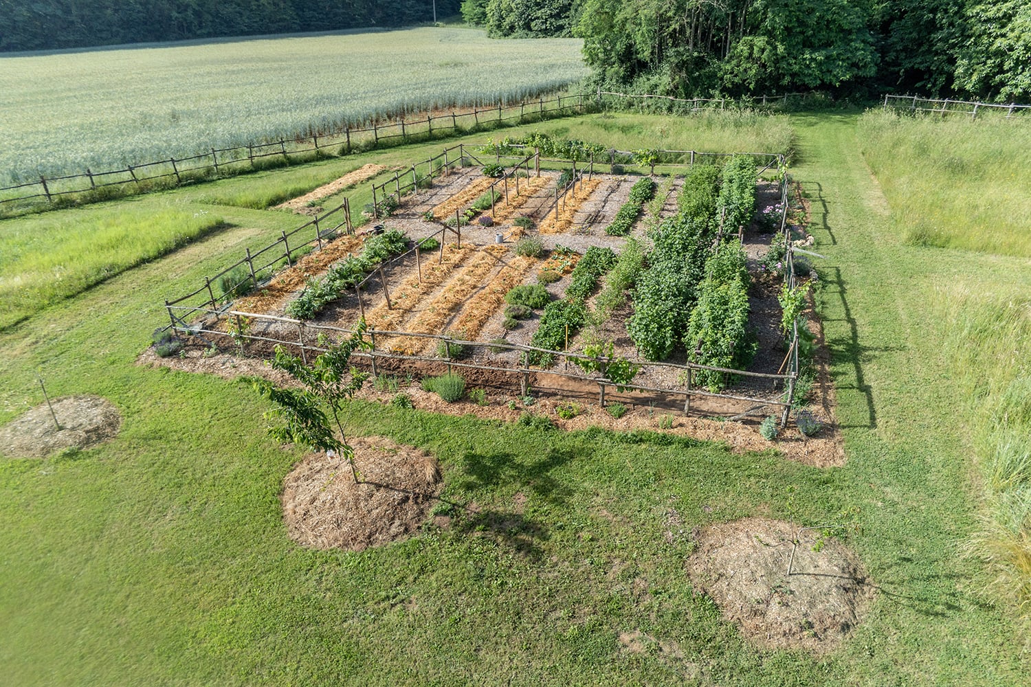 Potager