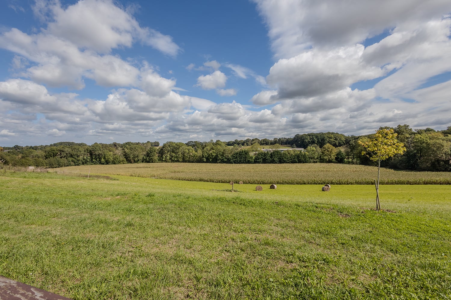 Vue sur la campagne