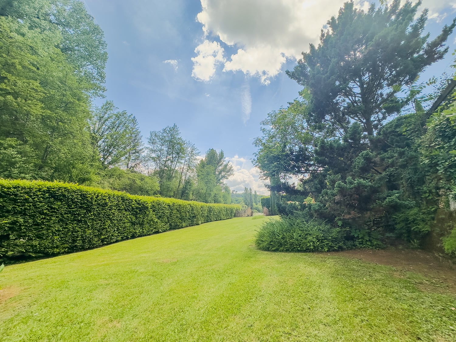Jardin avec herbe