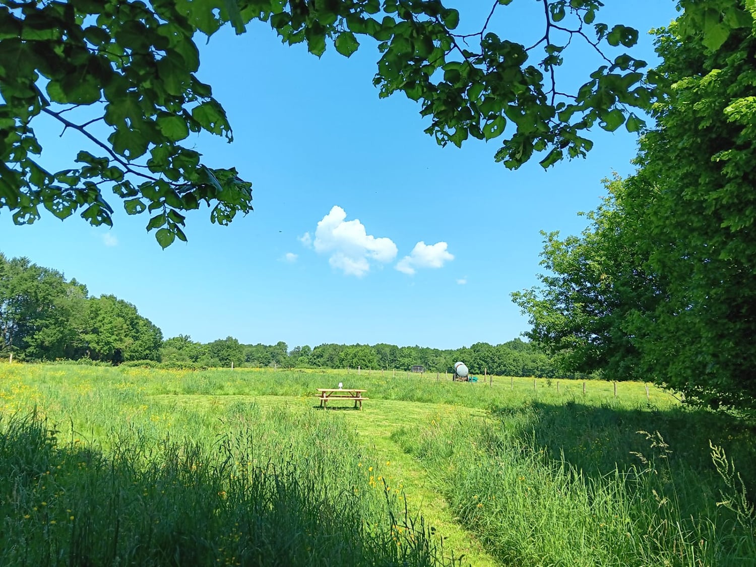 Aire de pique-nique dans le jardin