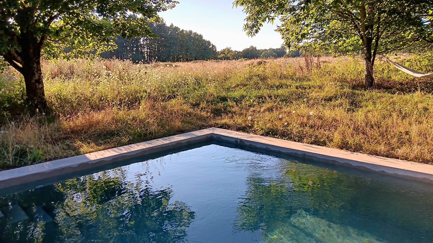 Piscine privée et jardin
