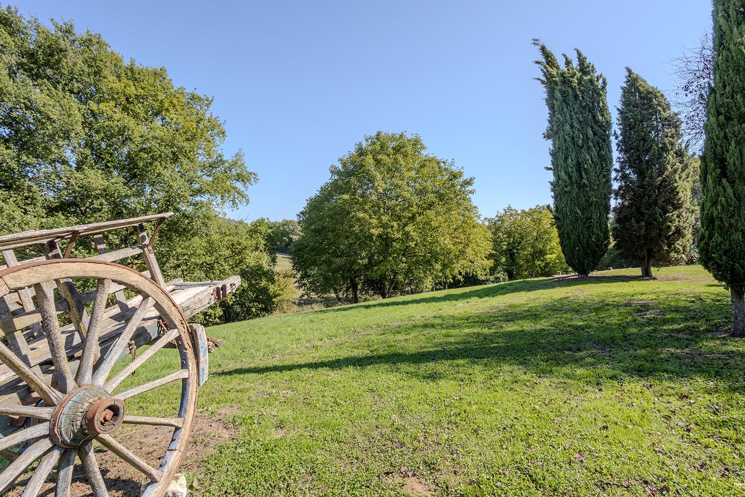 Jardin