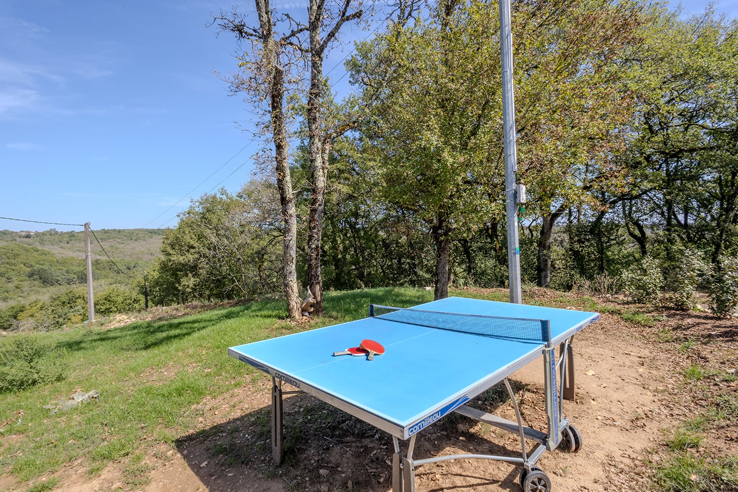 Tennis de table