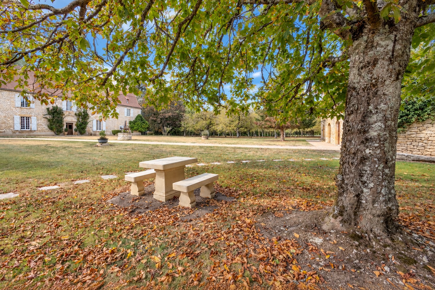Jardin