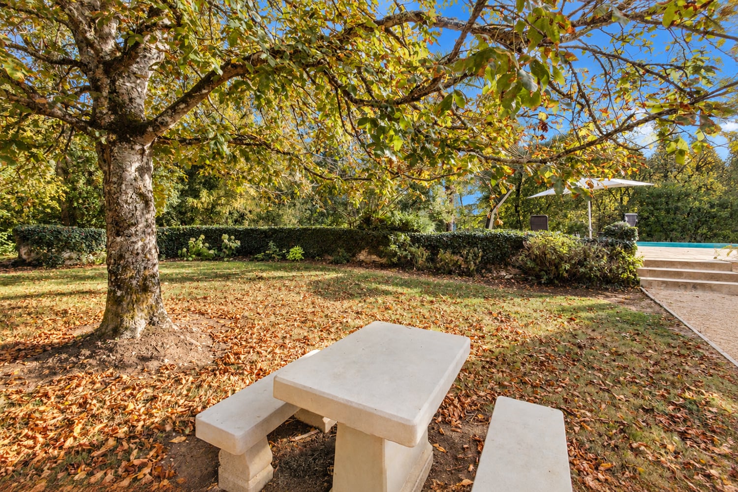 Jardin