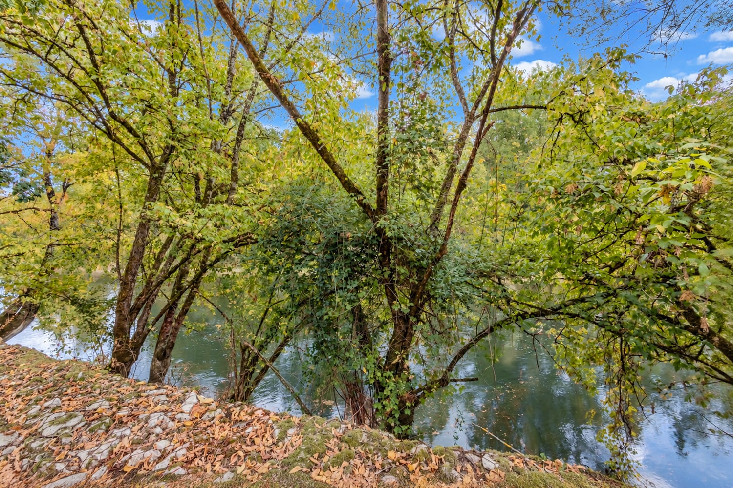 Rivière de la Dordogne