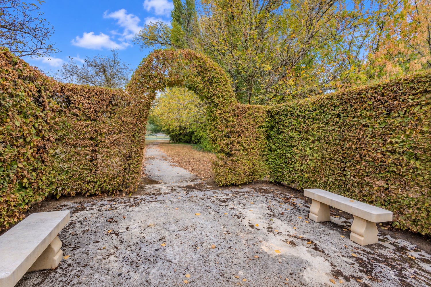 Terrasse de jardin