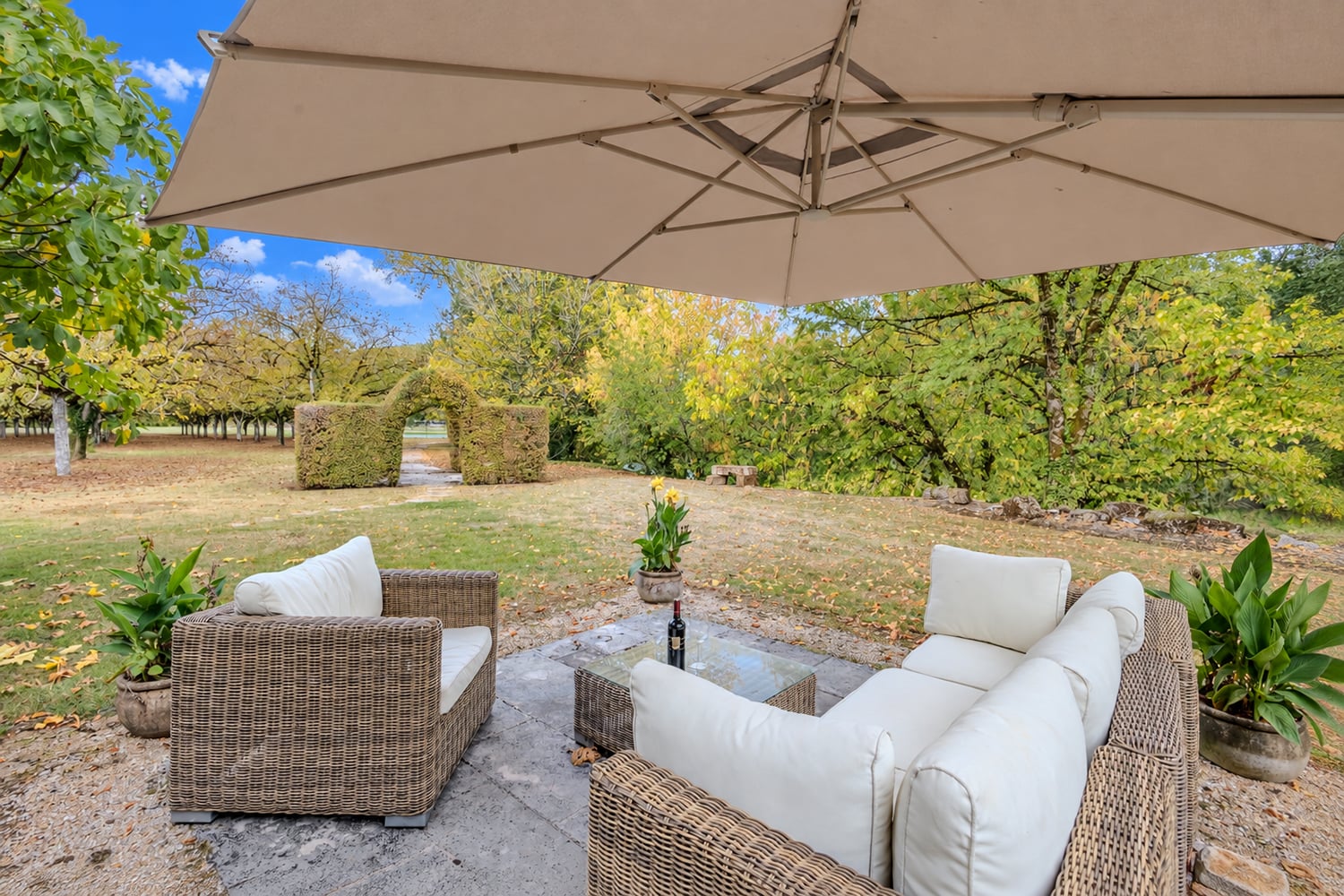 Terrasse ombragée