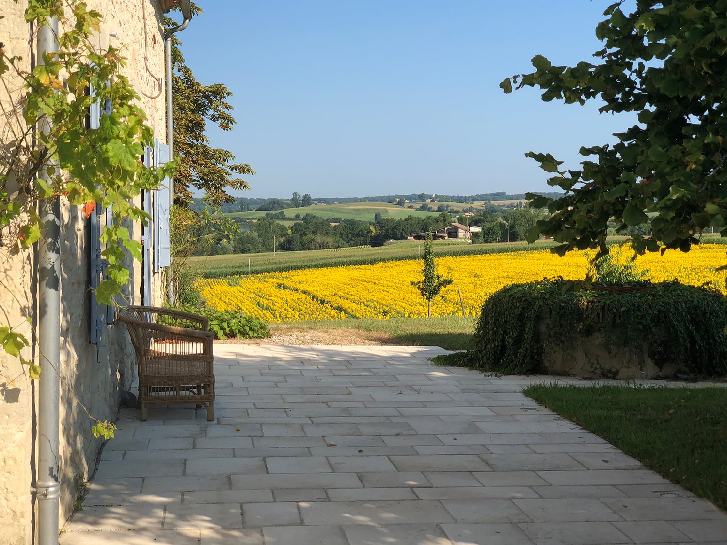 Terrasse