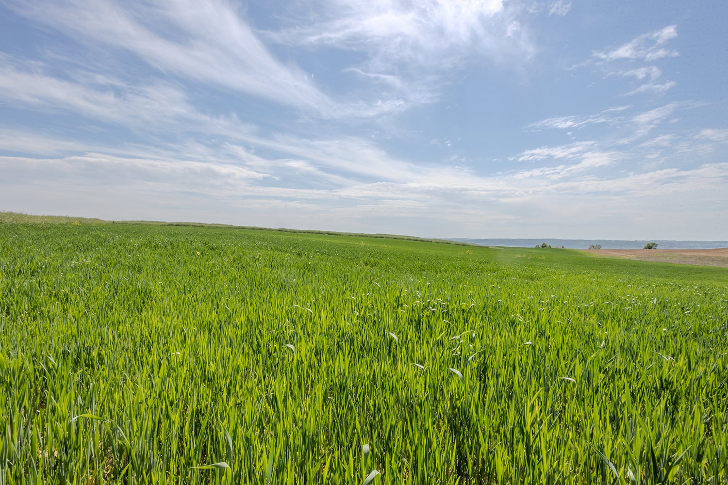 Vue sur la campagne