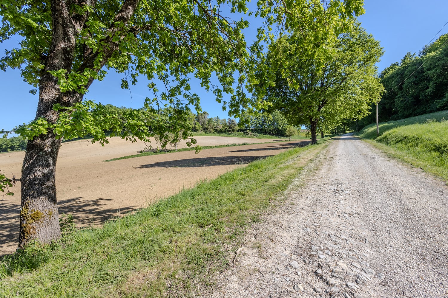 Allée