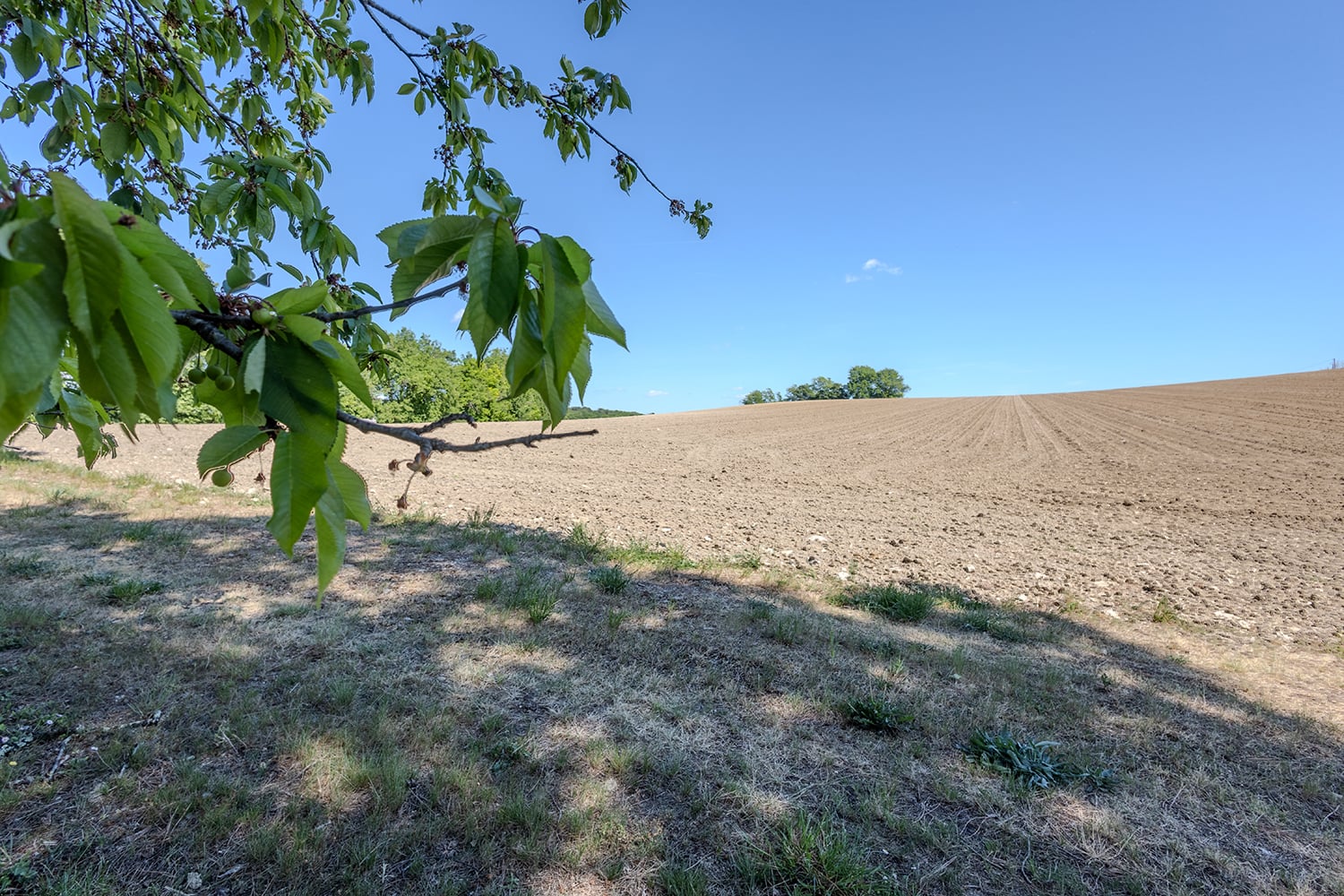 Vue sur la campagne