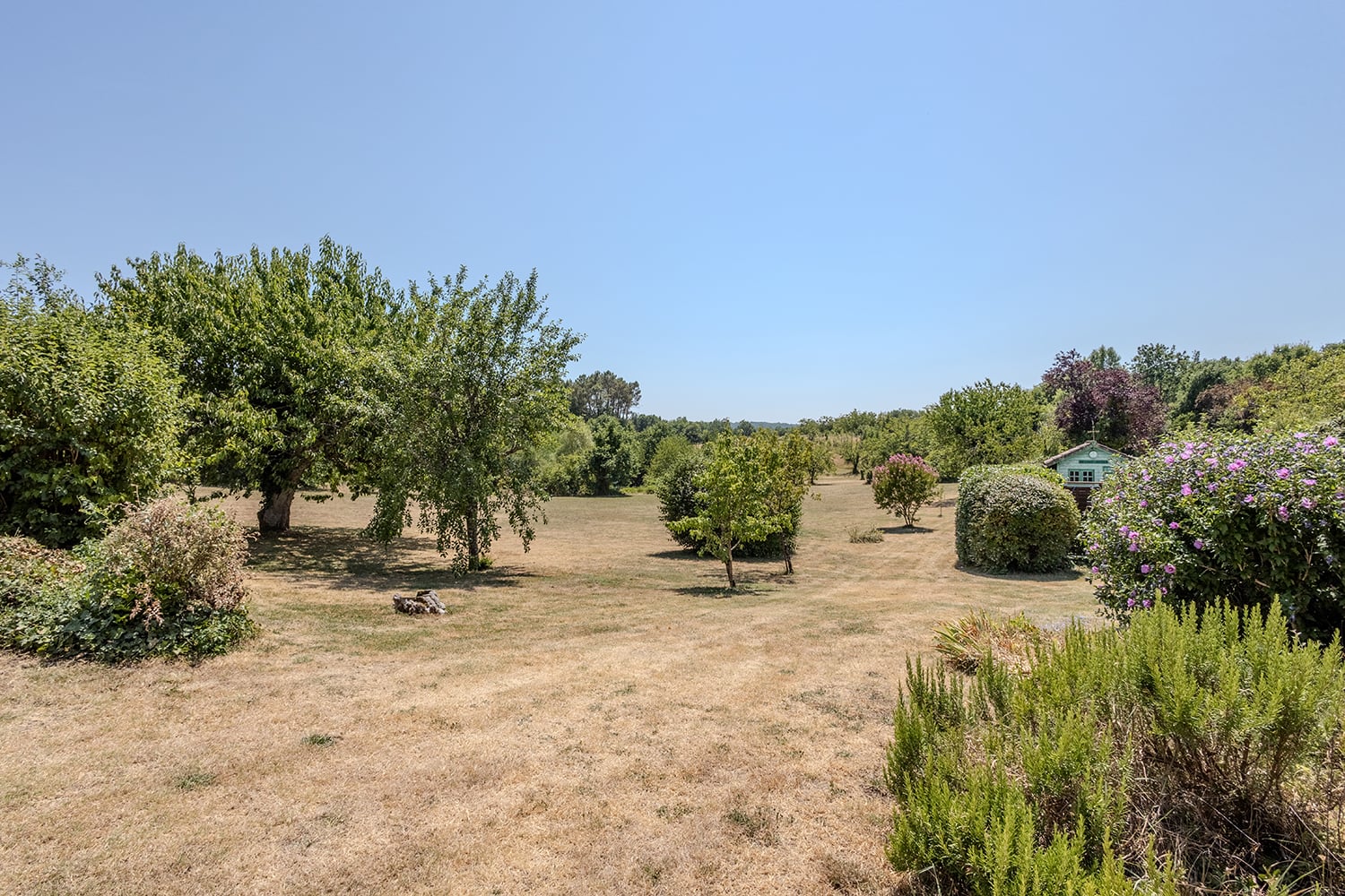 Jardin