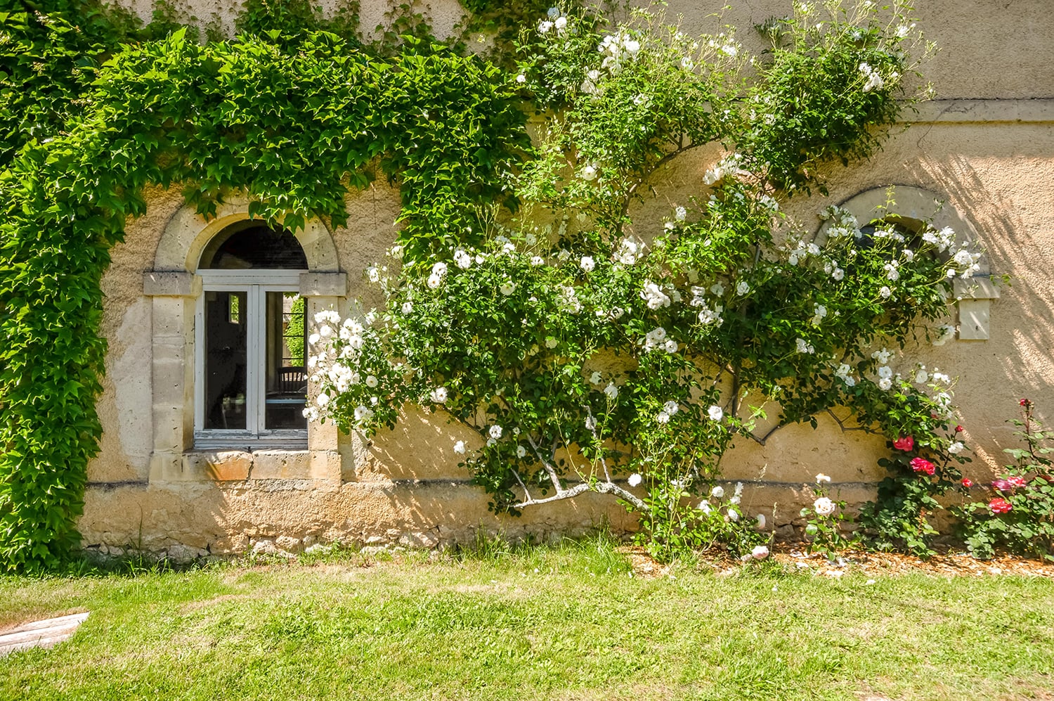 Jardin
