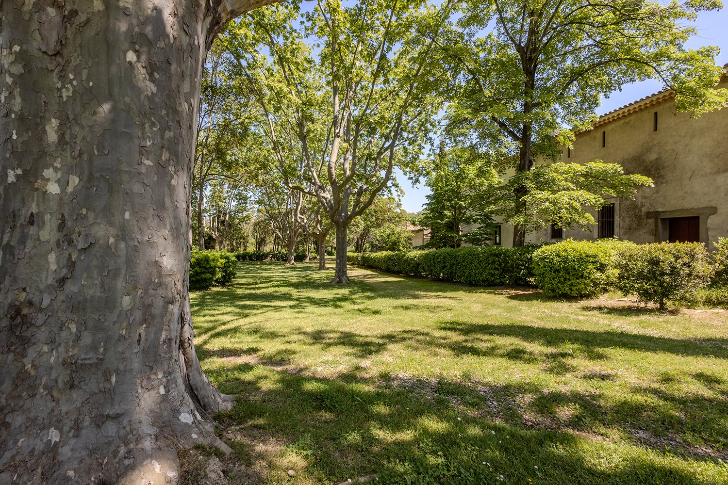 Jardin