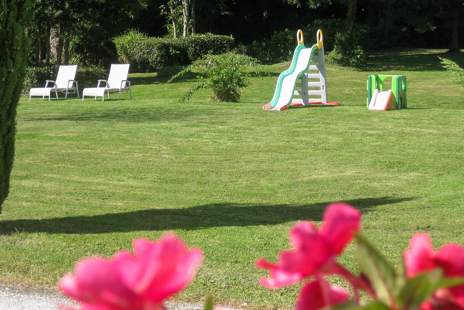 jardin