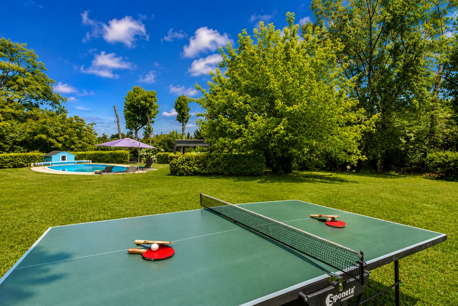 Tennis de table