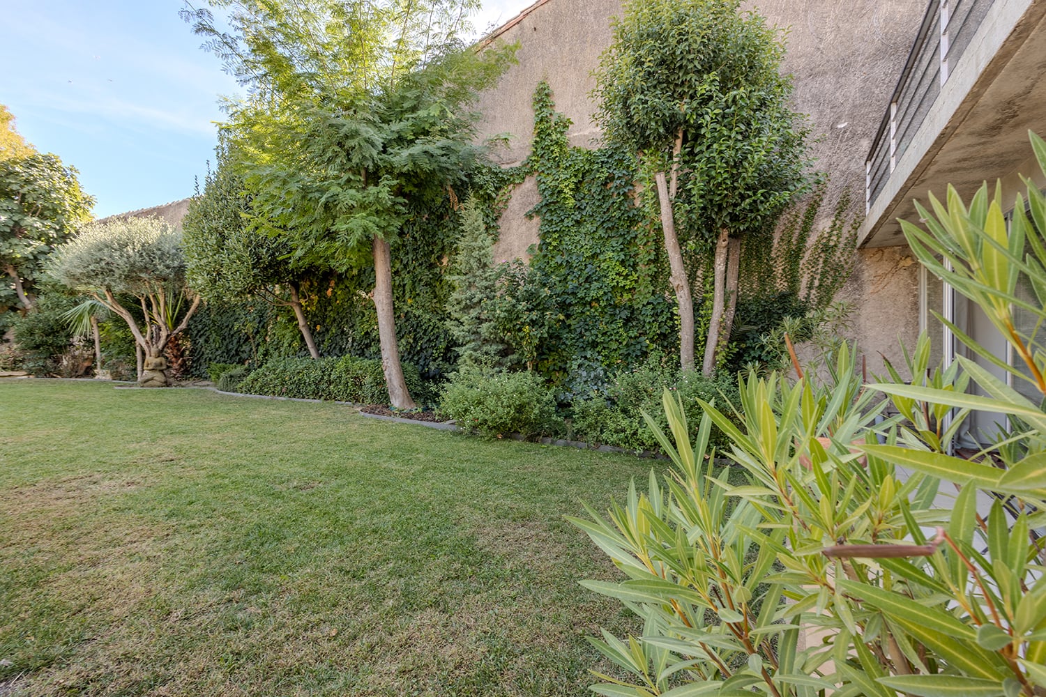 Jardin avec herbe Jardin avec herbe
