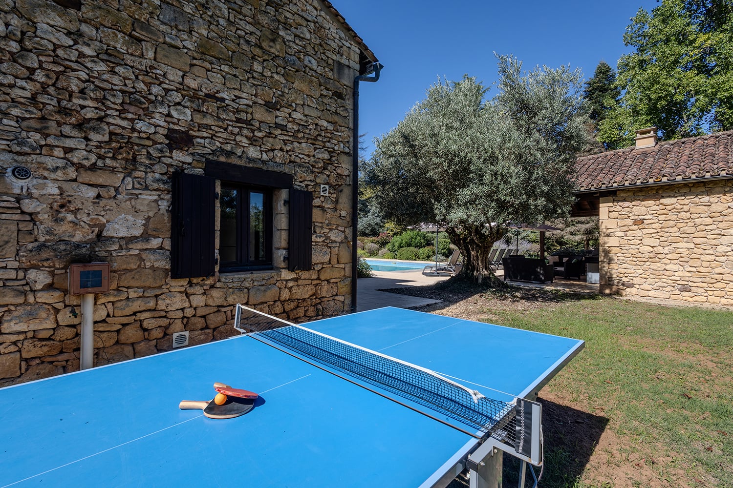 Tennis de table