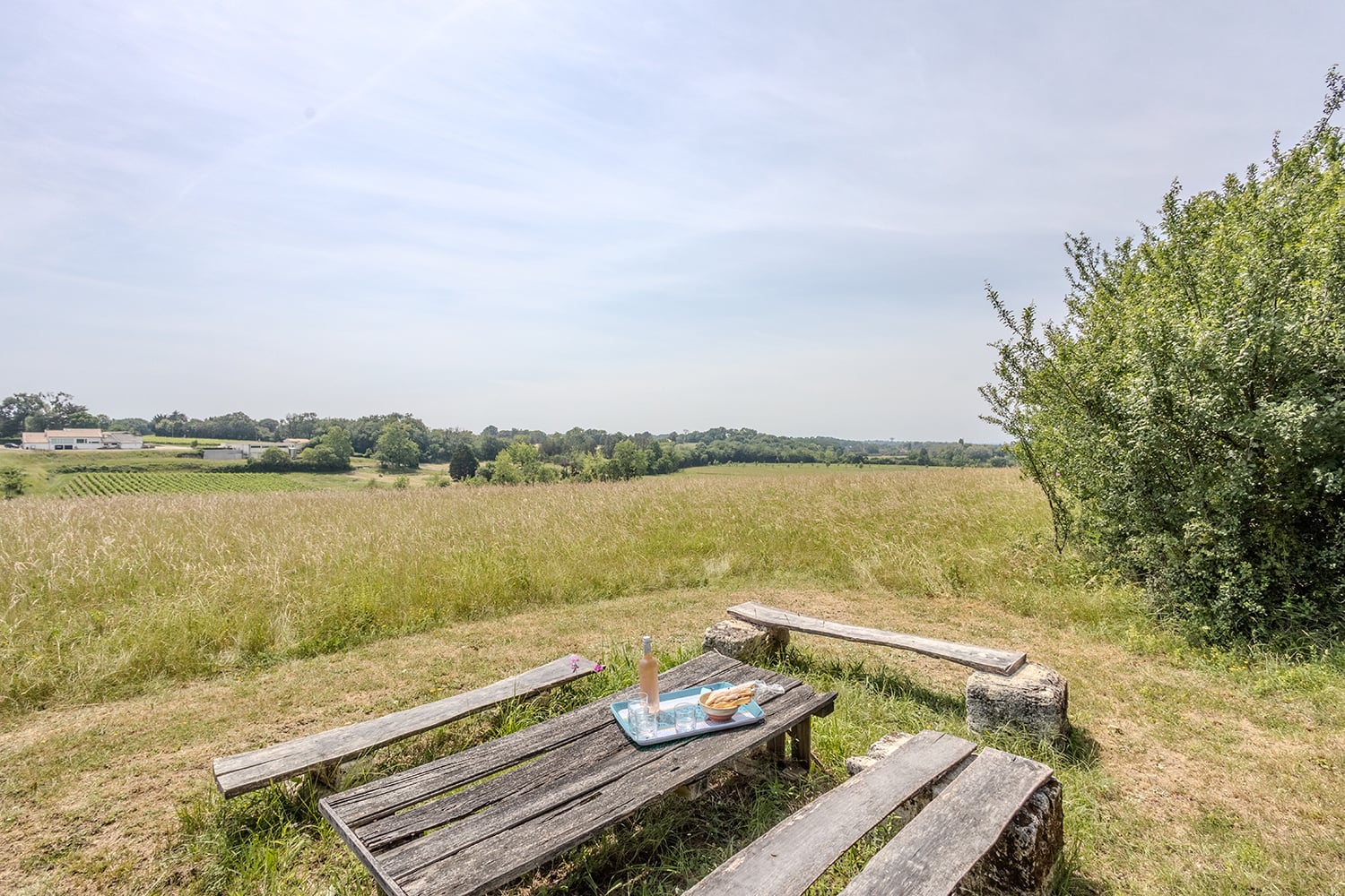 Vue depuis le jardin