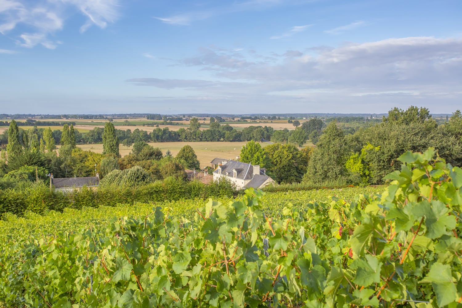 Maison de vacances à Pays de la Loire